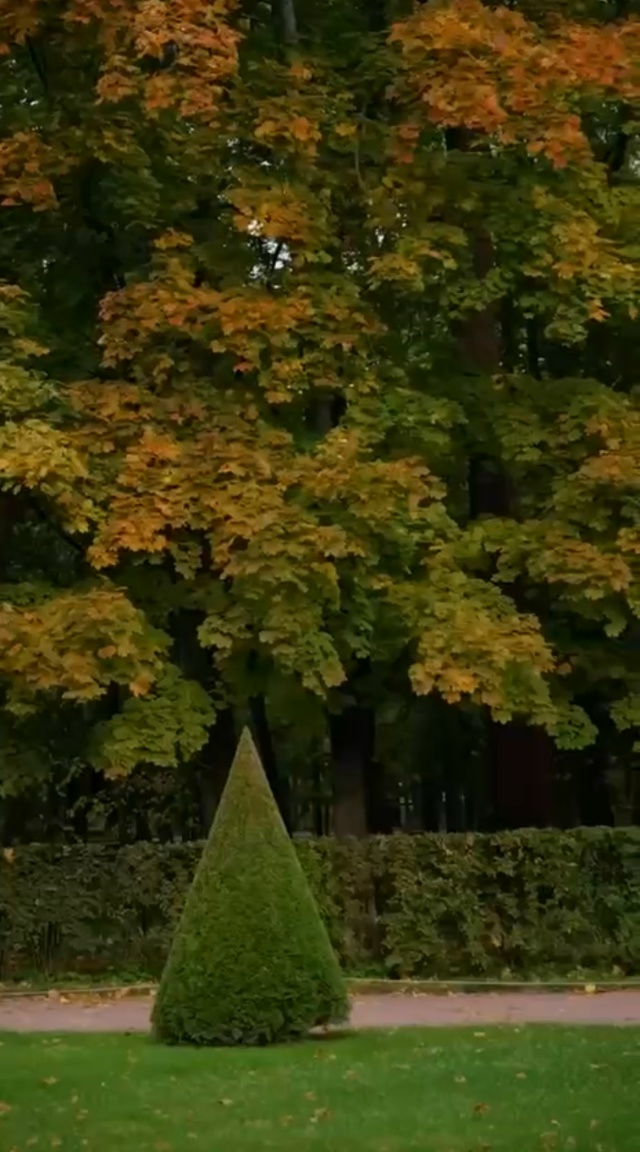 🍃Первые желтые листья замечены в Нижнем парке 🍂