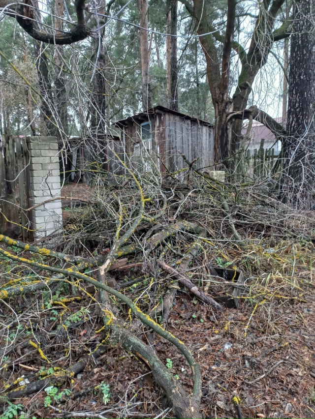 Уголки посёлка Шиморское. Хватит хвалиться фасадом! Ан...
