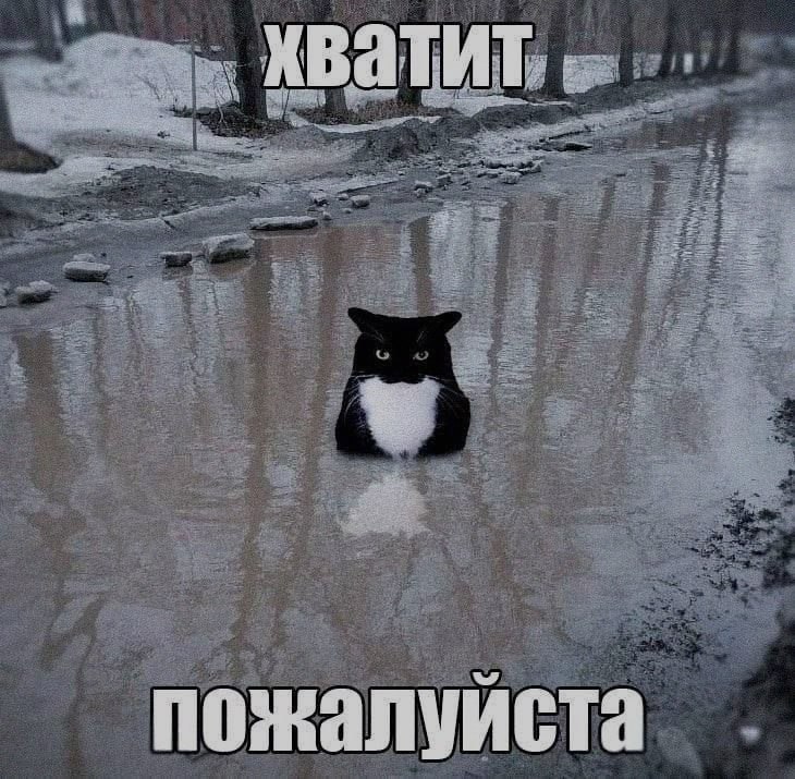 Ночная подборочка
Выходные, не спим