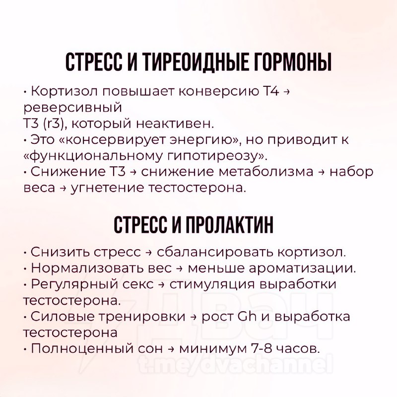 Как часто мужчине стоит заниматься сексом и от чего это зависит — российские врачи дали реально важн
