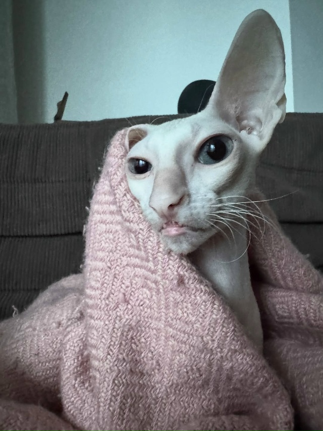 Милый инопланетянин😃