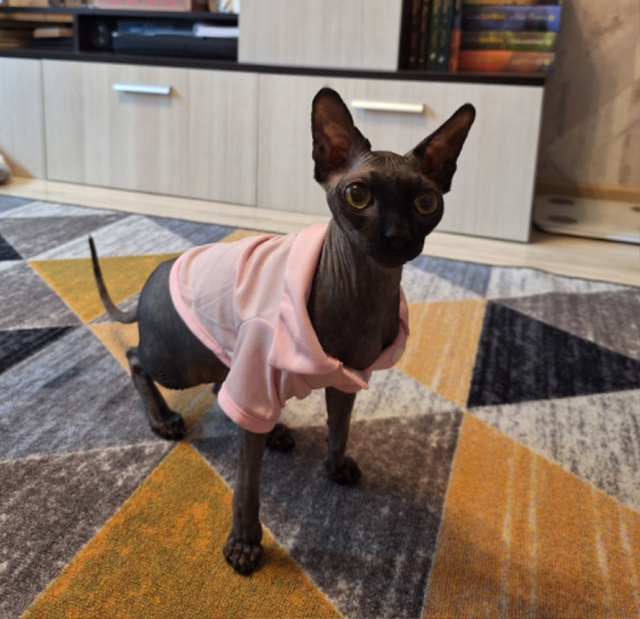 Тысяча и один Бусь🐈‍⬛❤️