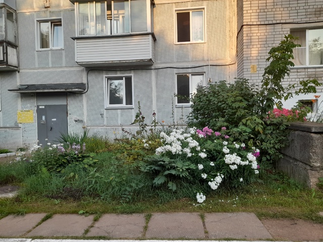 Прекрасный вечерний вид для глаз!!!⚘️🌼🌸🌷