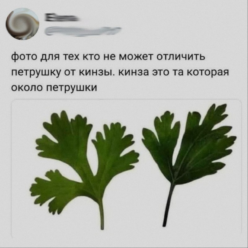 Ночная подборочка
Спать, режим