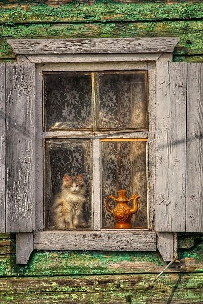 Какие же они все красивые…
Рекомендации на день 👉 max.r...