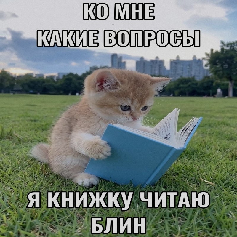Ночная подборочка
Спать, режим