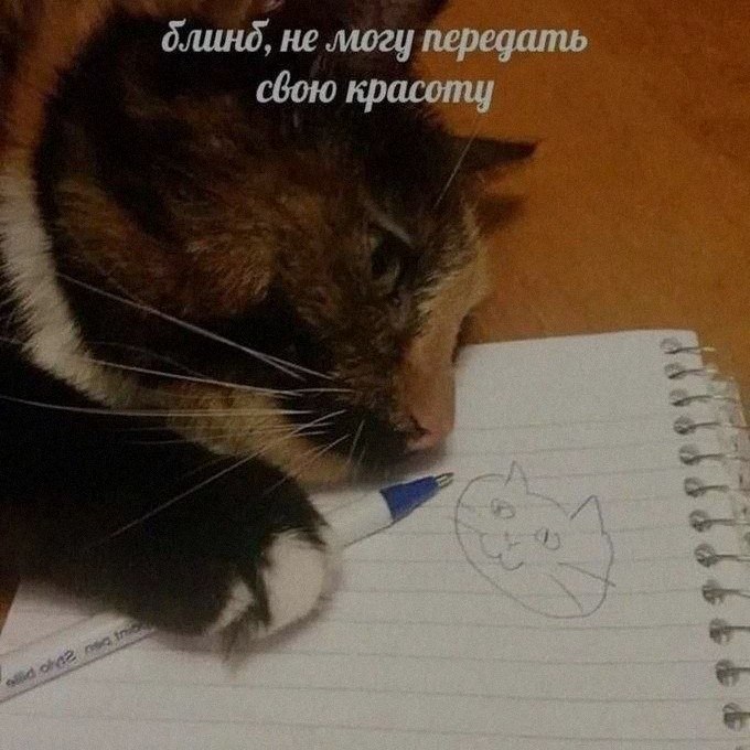 Ночная подборочка
Спать, режим