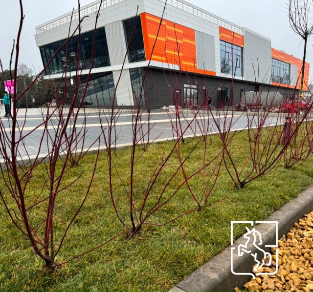 🌳🍀На объектах благоустройства этого года в Выксе на?...
