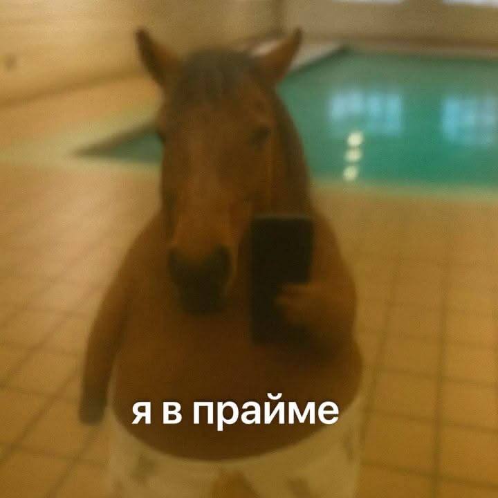 Воскресенье, объявляется всеобщая чилловая прокайфовка
