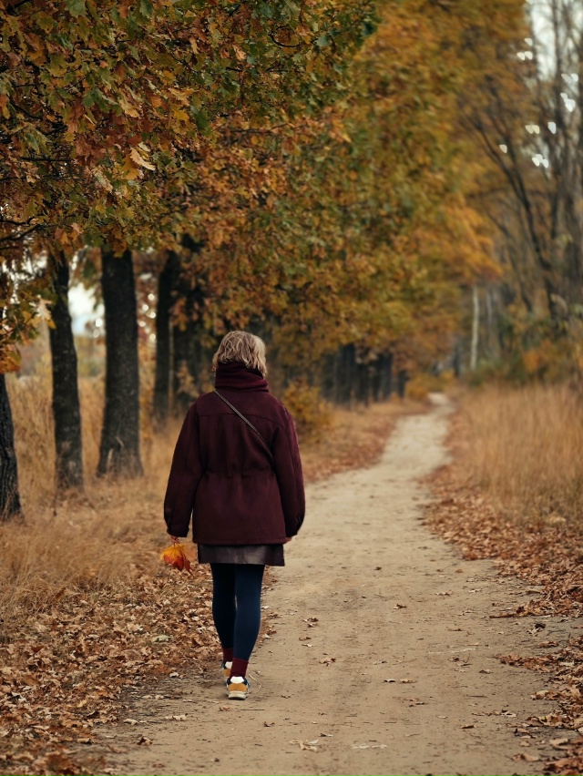 🍂💛🍁