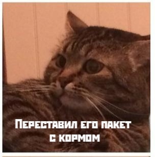 Или тихо хлопнул дверью холодильника!😊