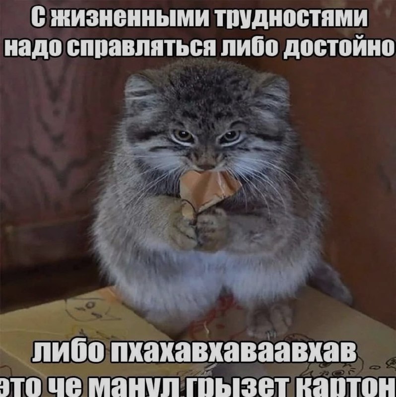 Ночная подборочка
Спать, режим