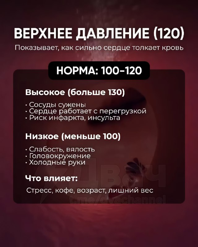 Старики немного за 20, внимание: в Сети собрали всё о давлении.
Если цифры на тонометре вам ни о чё
