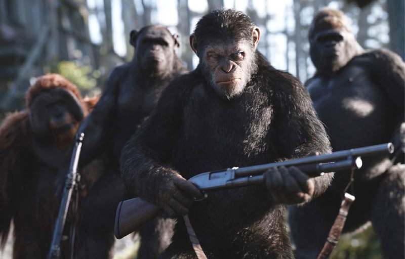 В Уганде уже 10 лет идёт настоящая гражданская война между шимпанзе.
В 2015 году одна большая групп