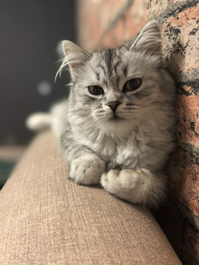 Шушечка ❤️