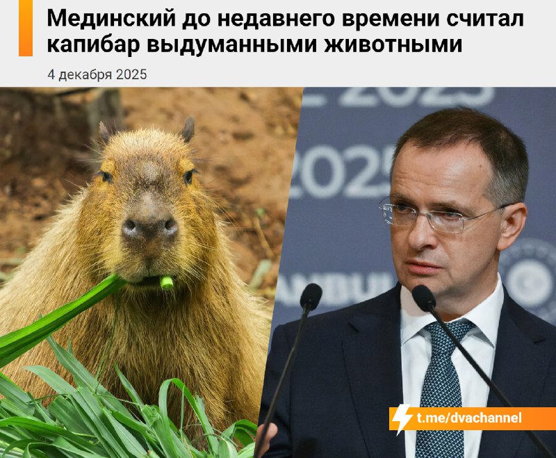 Владимир Мединский признался, что до недавнего времени считал капибар выдуманными существами и разно