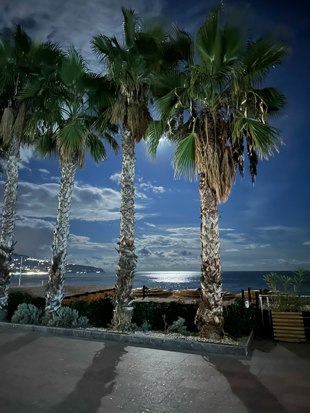 Вечерняя Ялта 🏙️ 3.12.2025