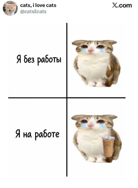 Девочки, мы? 😭