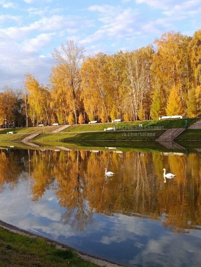 Сегодня хороший день, все красиво 🍁