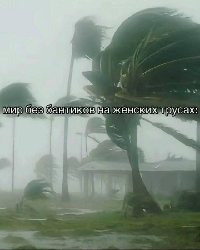 Утренняя подборочка