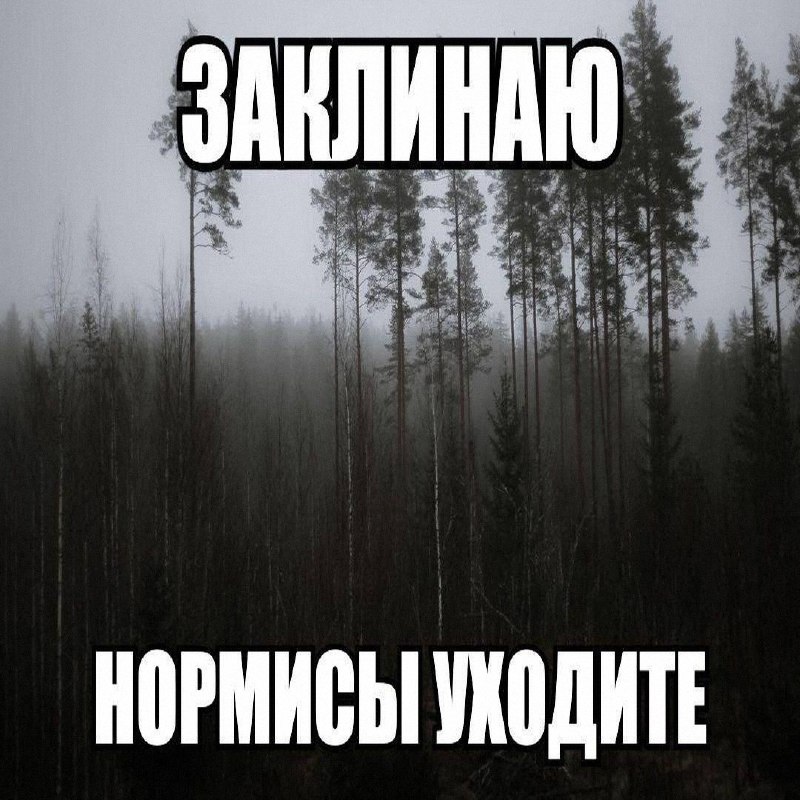 Утренняя подборочка