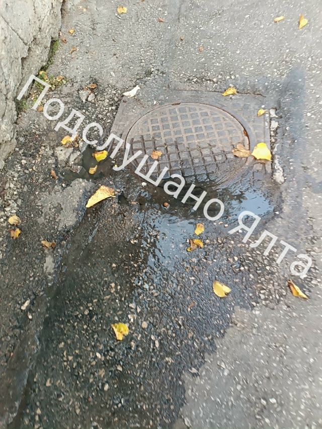 🆘‼️Помогите! Утопаем в нечистотах!
На улице Н.Лисано?...