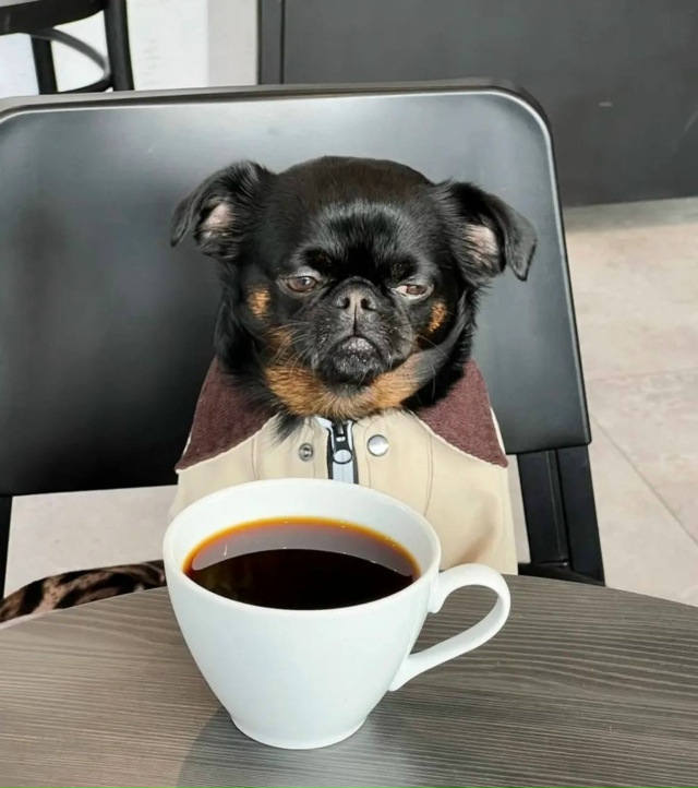 Просто я каждый день: