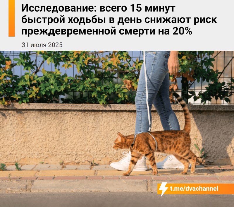 Всего 15 минут быстрой ходьбы в день снижают риск ранней смерти на 20% — к такому выводу пришли учён