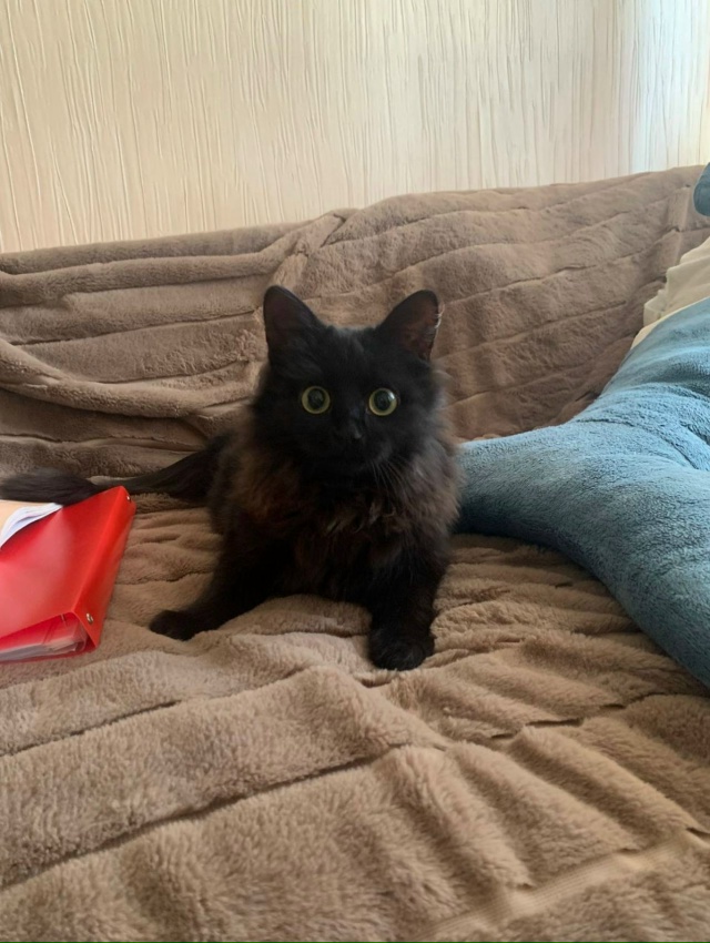 Переславль!
Здравствуйте! Помогите пожалуйста найти к?...