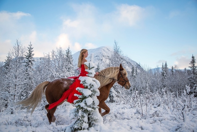 В Хибинах
Фото: [id153817456|Владимир Полянский]