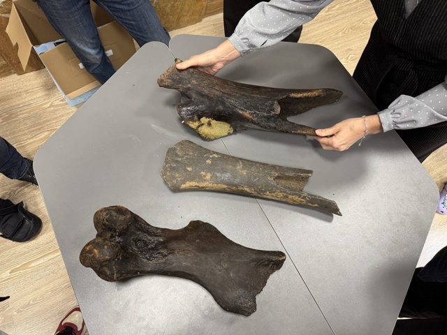 😱В Башкирии рыбак нашел в реке древние кости мамонта ?...