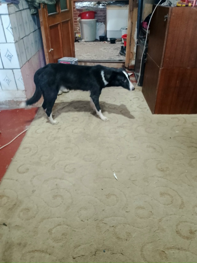 Чей ребенок потерялся? Недалеко от перекрёстка Феврал?...