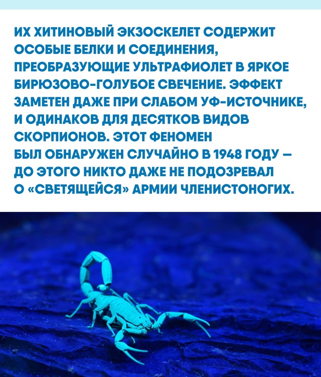 Иногда самые неожиданные свойства природы становятся ...