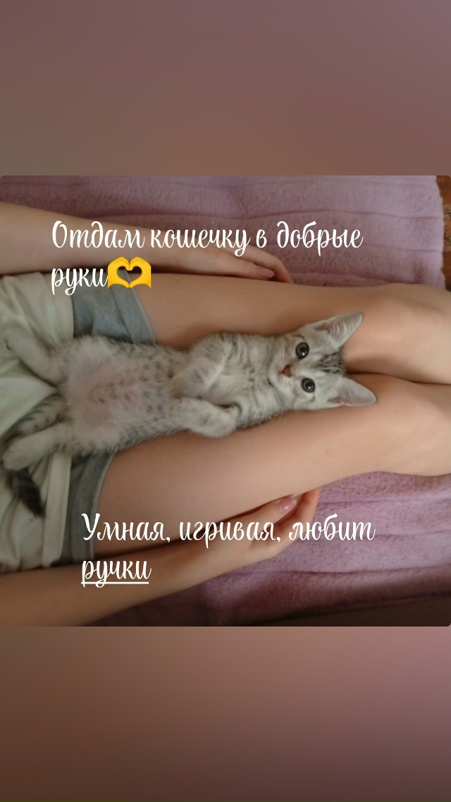 [id152857162|Светлана Сусанина]