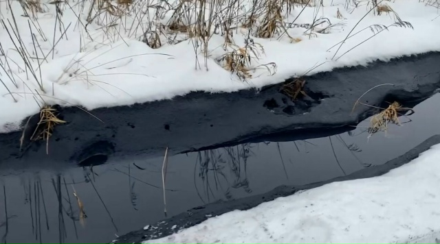 Избирательная комиссия Ивановской области 8 декабря п?...