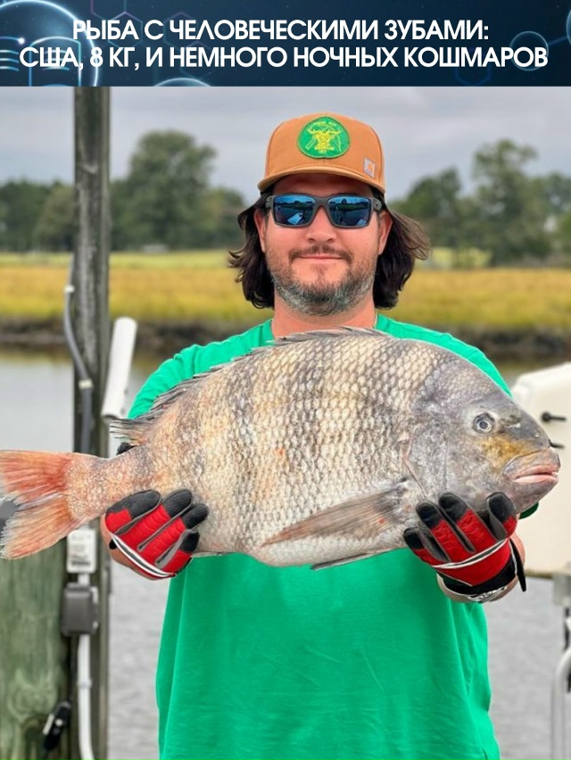 Если вы думали, что худшее, что может случиться на рыба?...