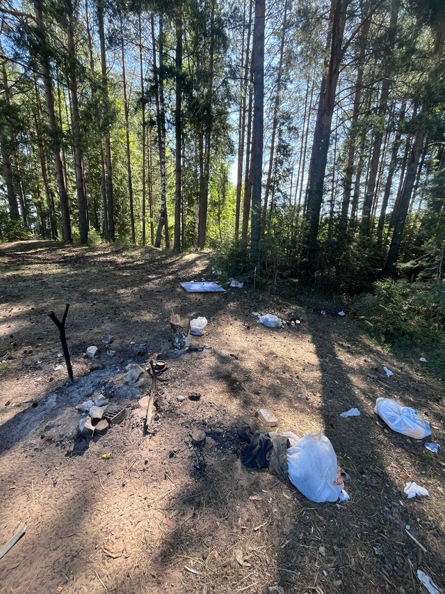 Если люди так любят отдыхать на природе, то почему они ?...