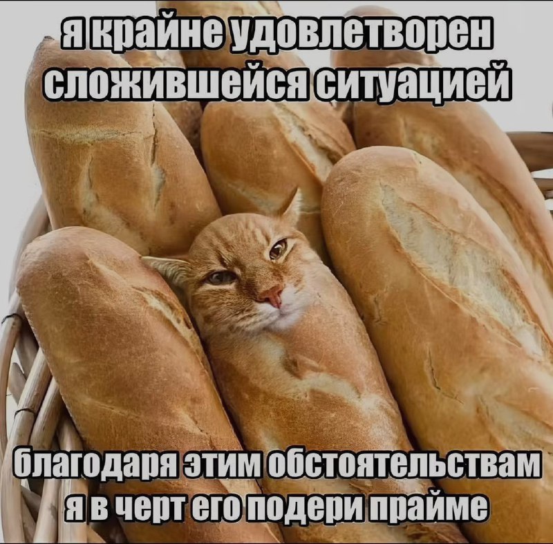 Ночная подборочка
Спать, режим