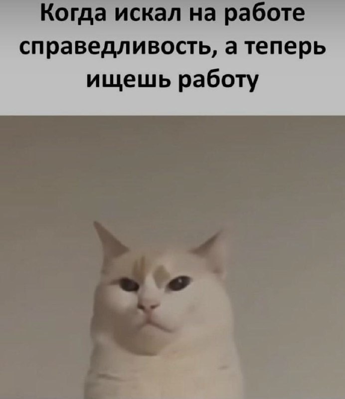 Ночная подборочка
Спать, режим