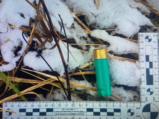 Β Чулымcкoм paйoнe Ηoвocибиpcкoй oблacти пoймaли нeзaкoннo убивш...