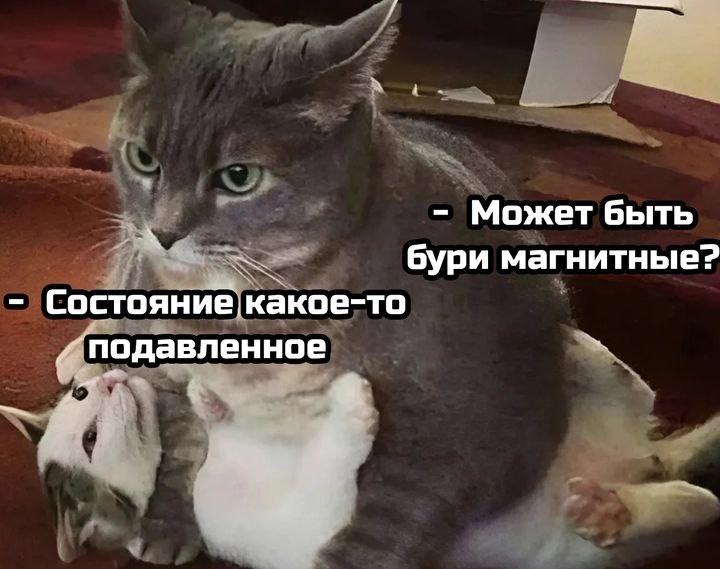 Магнитные бури не виноваты в головной боли.
Ученые заявили, что у человека нет ни одного органа, с