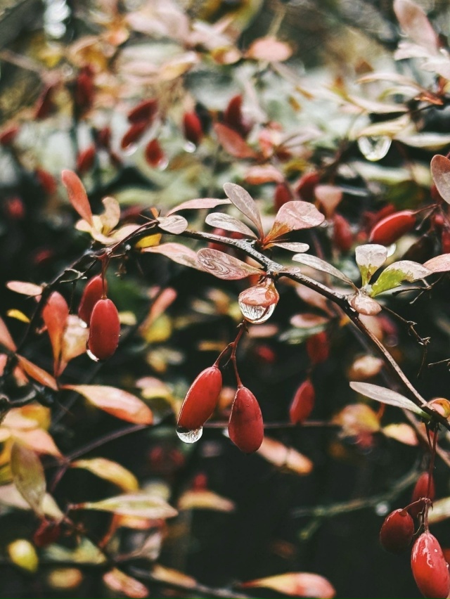 Кратово сегодня
Фото: [club214798849|@vanderdrone]