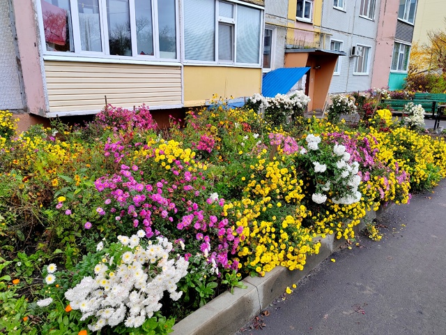 Листва опала под дождями,
Деревья с голыми ветвями
Так ...