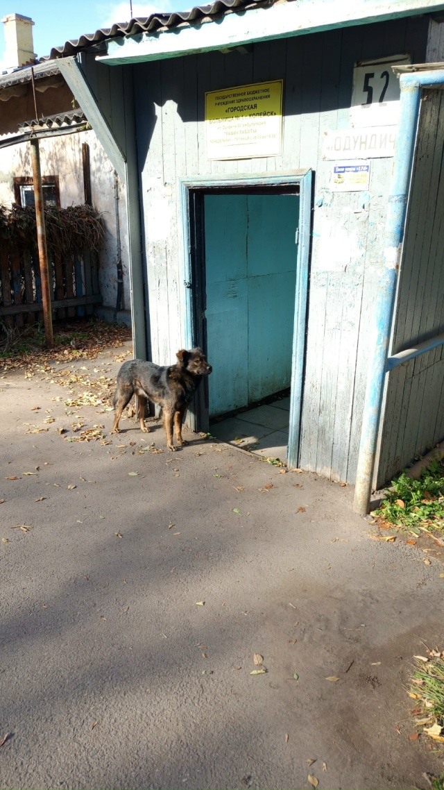 Кадровик, 2й участок
Вход в больницу оккупирован соба?...