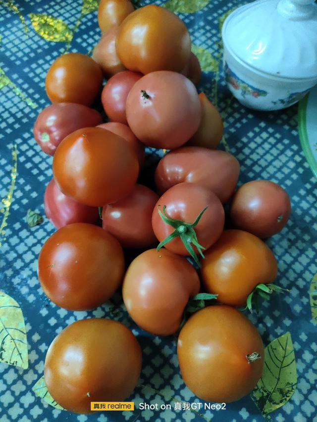 🍅 1000+ жителей города в чате Фермеры Садоводы Салавата....