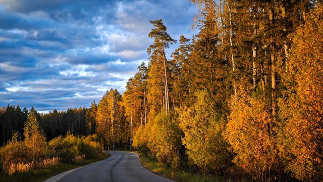 Красивые кадры от Орехово-Зуевского лесничества 🍂