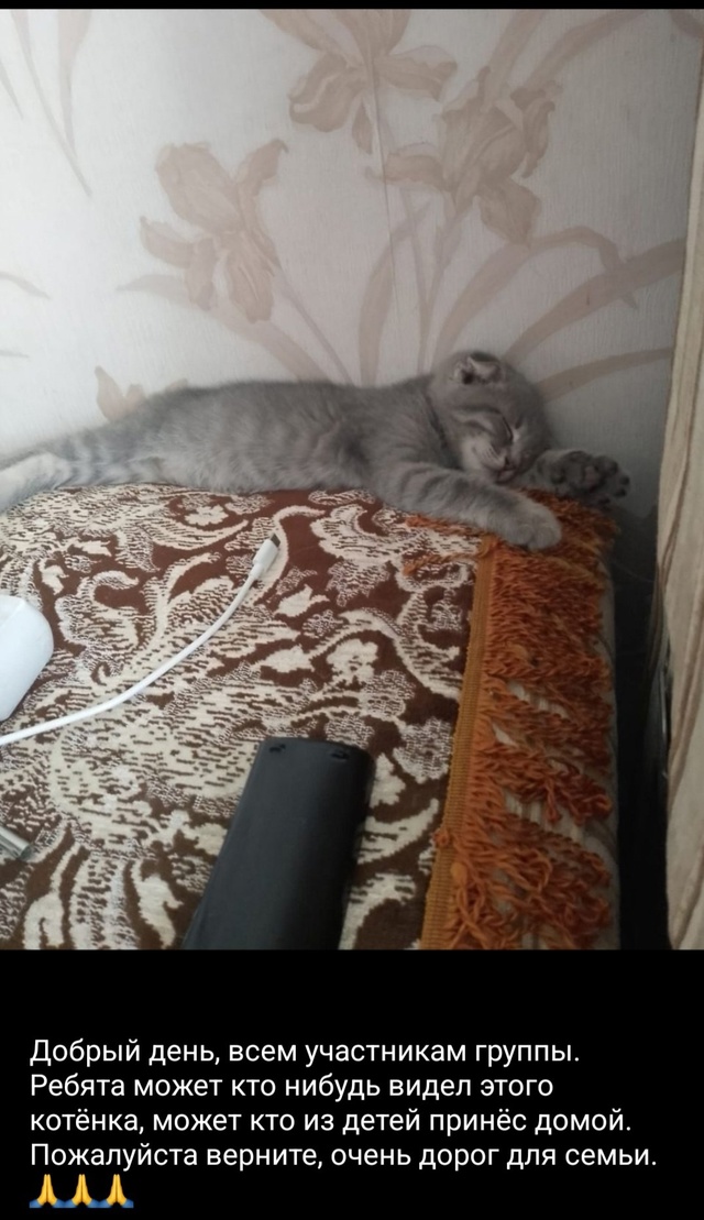 Здравствуйте 👋 👋 👋 участники группы. Помогите пожа?...