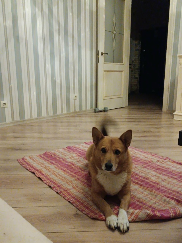 Помогаю информационно!
Нижегородская область. ?????...