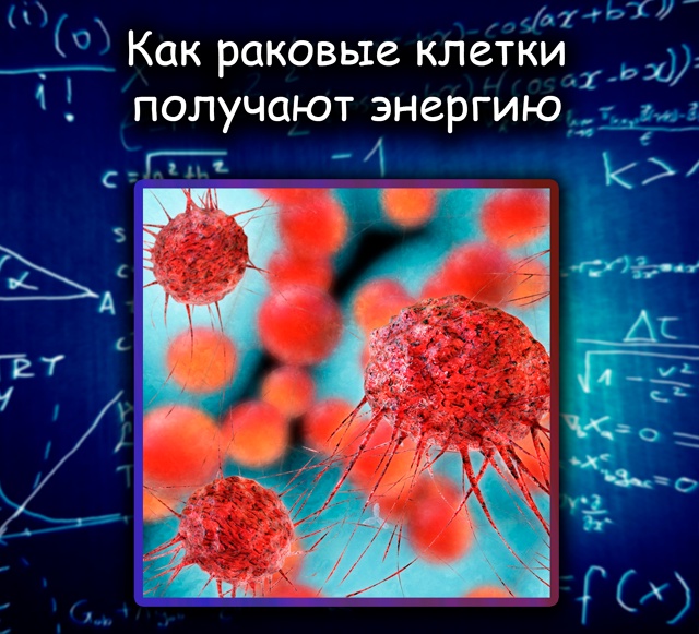 Рак ворует митохондрии из нервных клеток, чтобы выжить...