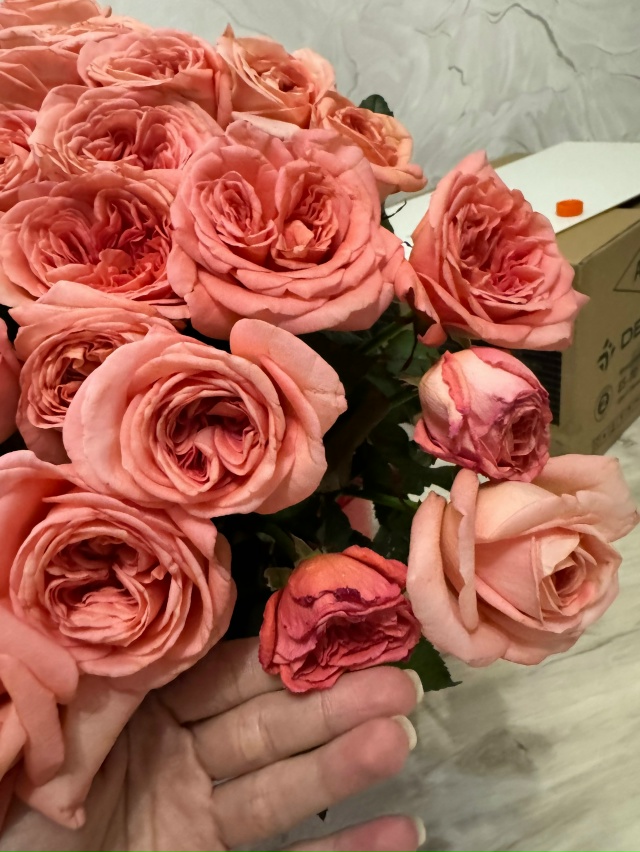 💔 Испорченный праздник: 51 роза, завявшая за полдня, и п...